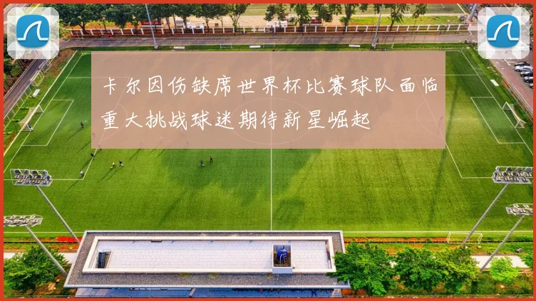 卡尔因伤缺席世界杯比赛球队面临重大挑战球迷期待新星崛起