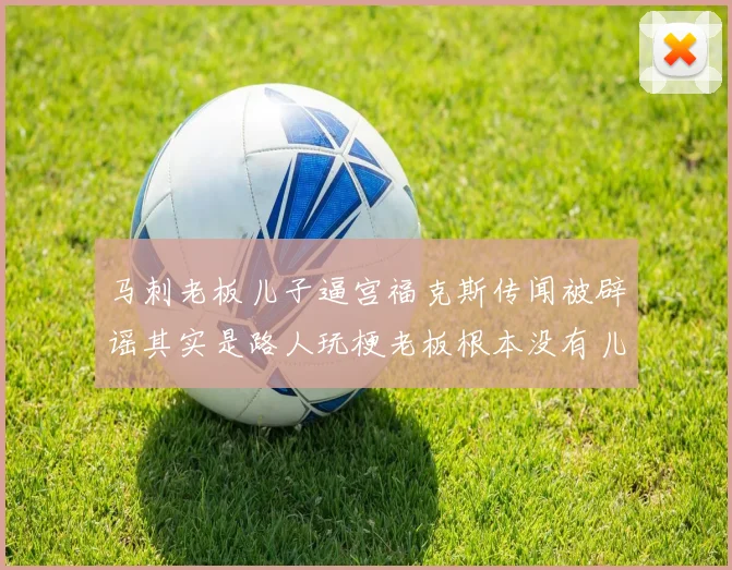马刺老板儿子逼宫福克斯传闻被辟谣其实是路人玩梗老板根本没有儿子